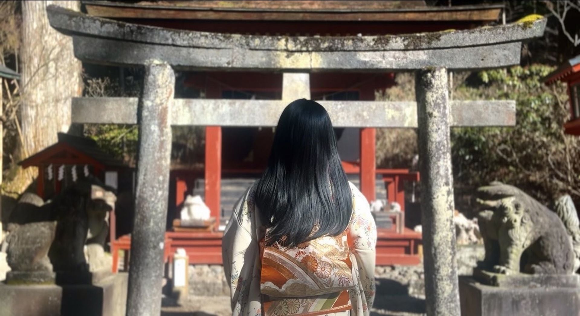神社の鳥居に手を合わせ祈る後ろ姿の女性。厳かで神秘的な雰囲気。日光二荒山神社